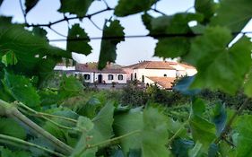 Casa Vacanze Etna