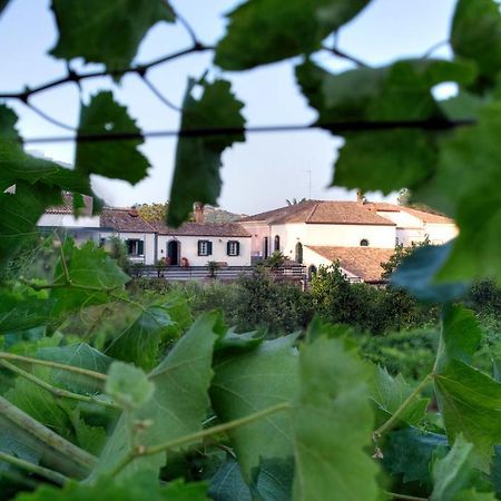 Casa Vacanze Etna Piedimonte Etneo Buitenkant foto