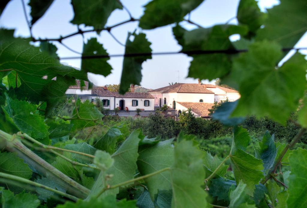 Casa Vacanze Etna Piedimonte Etneo Buitenkant foto