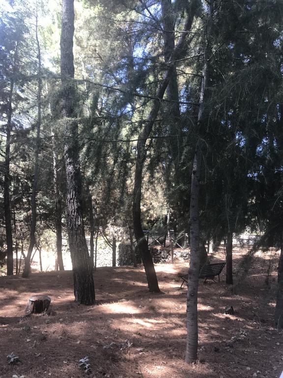 Casa Vacanze Etna Piedimonte Etneo Buitenkant foto
