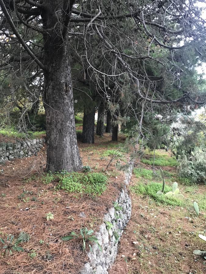 Casa Vacanze Etna Piedimonte Etneo Buitenkant foto